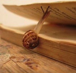 a_snail__and_the_book__via_sine-qua-non